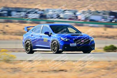 media/Nov-16-2024-Extreme Speed (Sat) [[6587d07cc4]]/Gold Group/Session 1 (Turn 2)/